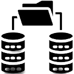 NetSuite Data Migration Services