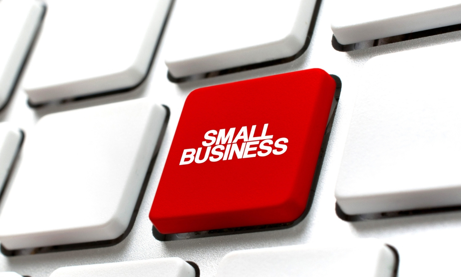 Small businesses are not too small for an ERP solution